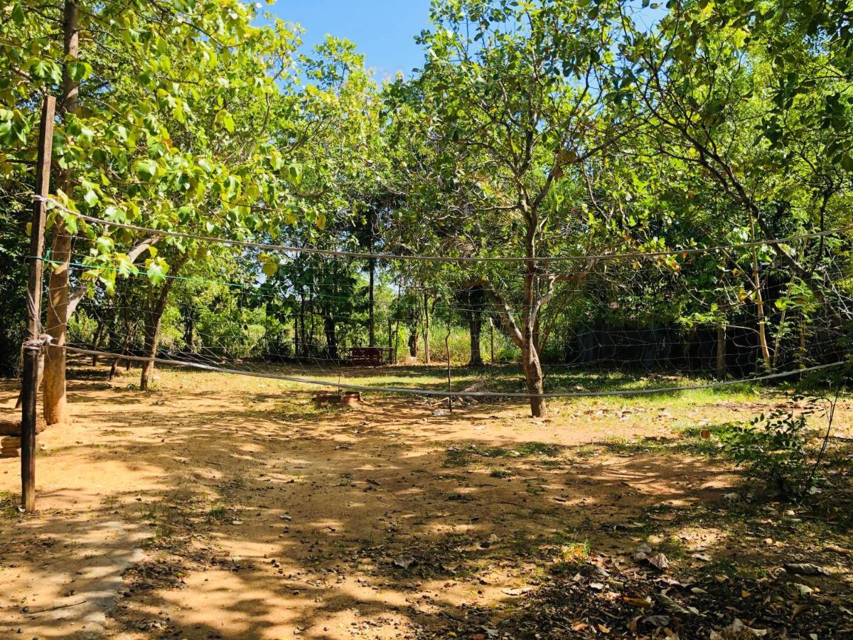 Dambulla City Hostel Eksteriør bilde